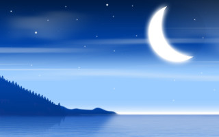 Night scene full moon tree 3 - a night scene free wallpaper