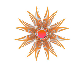 Red orange flower white background - orange leaf free wallpaper