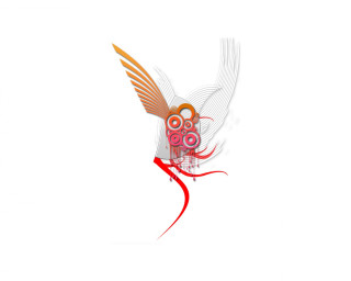 Bird red orange beak wings - beak free wallpaper