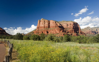 Mountain trail flowers blue sky - a scenic view of a mountain free wallpaper