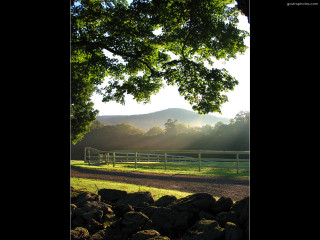 Horse field fence tree mountain - anne rigney free wallpaper