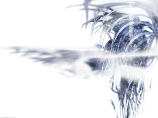 Blurry palm tree water white - amano free wallpaper