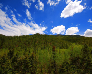 Forest blue sky clouds mountain - a mountain in the distance free wallpaper