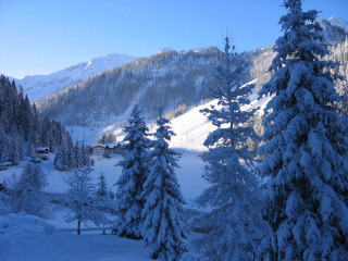 Snowy mountain trees house background - a snowy mountain free wallpaper