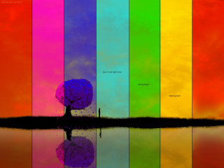 Rainbow colored wall tree reflection 2 - the water below free wallpaper