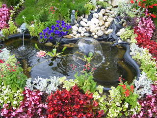 Garden pond flower birdbath nature - cherryl fountain free wallpaper