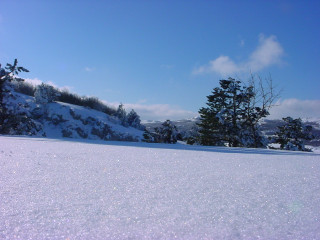Snow covered hill trees blue 6 - the side of it free wallpaper