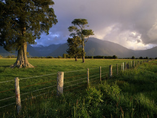Fence field tree mountains clouds 2 - a tree and mountains free wallpaper