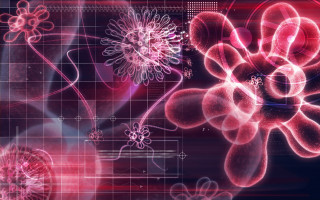 Flower plant red background grid - biopunk free wallpaper