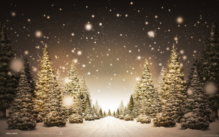 Snowy scene trees snow falling 5 - a matte painting free wallpaper