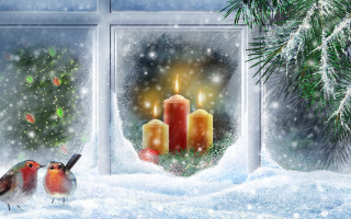 Birds window candles christmas tree 2 - outside free wallpaper