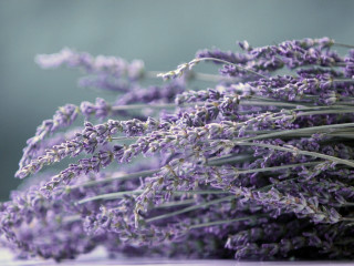 Lavender flowers table blurry background - a table top free wallpaper