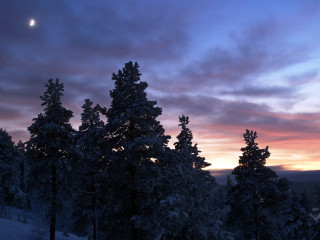 Sunset clouds trees foreground moon 2 - the distance free wallpaper