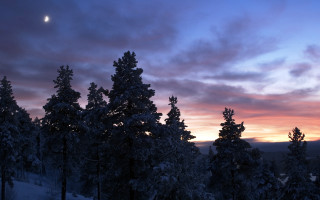 Sunset clouds trees foreground moon 5 - the distance free wallpaper for desktop