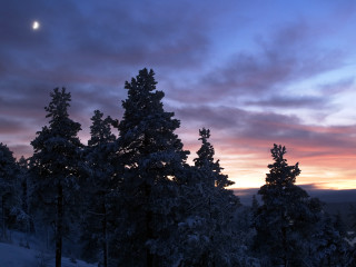 Sunset trees clouds moon distance - a few cloud free wallpaper for desktop