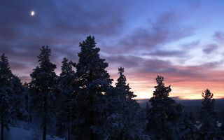 Sunset clouds trees foreground moon 4 - the distance free wallpaper for desktop