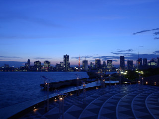 City skyline night water dome - roof free wallpaper