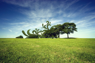 Field trees blue sky clouds 11 - two tree free wallpaper