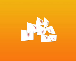 White cards red designs orange - an orange background free wallpaper