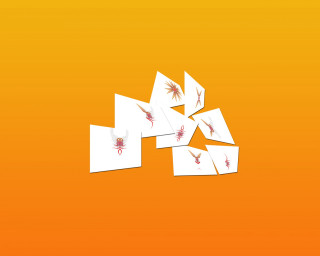 White papers red design orange - an orange background free wallpaper
