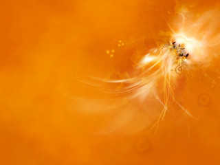 Yellow orange swirly design black - orange free wallpaper