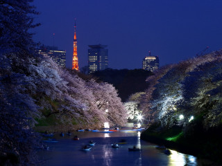 River boats night city lights 3 - japan aimitsu free wallpaper