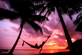 Hammock palm trees beach sunset 3 - two palm tree free wallpaper