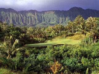 Golf course palm trees mountains 4 - palm tree and mountains free wallpaper