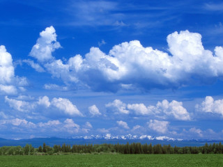 Cows grazing field mountain clouds 2 - a mountain in the distance free wallpaper