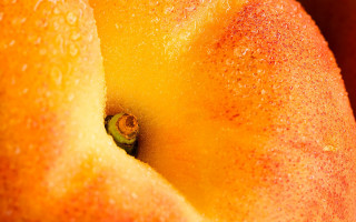Yellow apple water droplets green - a yellow apple free wallpaper