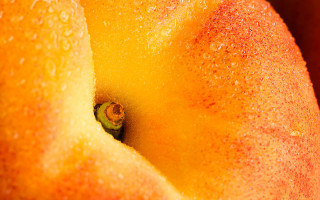 Yellow apple water droplets green 4 - a yellow apple free wallpaper