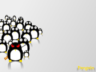 Penguins red eyes black white - a group of penguins free wallpaper