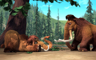 Animals dirt woods eating ground - a couple of animals free wallpaper