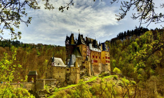 Castle clock tower forest trees - a clock tower free wallpaper