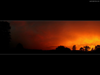 Sunset red sky trees black - elbridge ayer burbank free wallpaper
