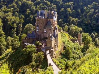 Castle forest path upside top - a path free wallpaper