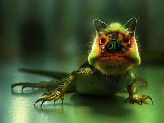 Small lizard closeup blurry green - a small lizard free wallpaper
