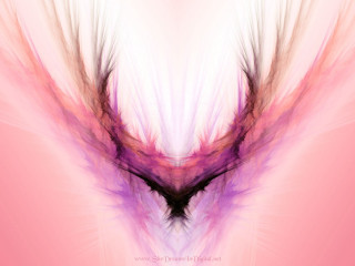 Pink purple abstract background black - dragon art free wallpaper