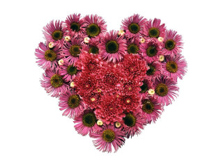 Heart shaped flower arrangement white - a white background behind free wallpaper