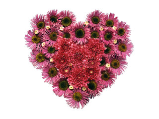 Heart shaped flower arrangement white 4 - a white background behind free wallpaper
