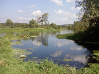 River clouds water plants trees - river free wallpaper