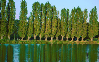 Trees water blue sky foreground 2 - a body of water free wallpaper