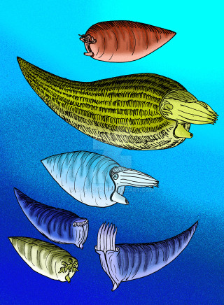 Fish group swimming ocean together - incoherent free wallpaper