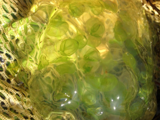 Green bowl water lace red - subsurface free wallpaper