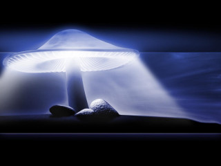 Mushroom lamp rock night sky 3 - the dark night sky free wallpaper