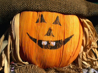 Pumpkin hat scarf fall autumn - a pumpkin free wallpaper