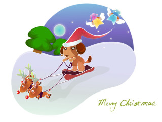 Dog pulling sled christmas tree 3 - the top of it free wallpaper