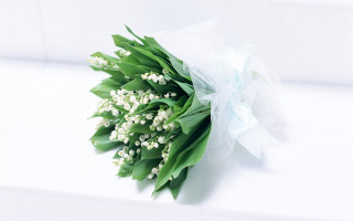 Bouquet flowers white surface ribbon - end free wallpaper