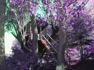 Man forest stairs treehouse ladder - ecological art free wallpaper