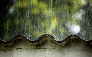 Rain storm roof tree raindrops - impressionist free wallpaper